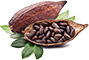 Cocoa (1)